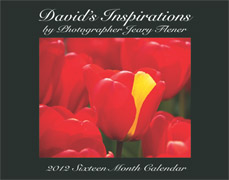 David's Inspirations A 2012 Sixteen Month Calendar