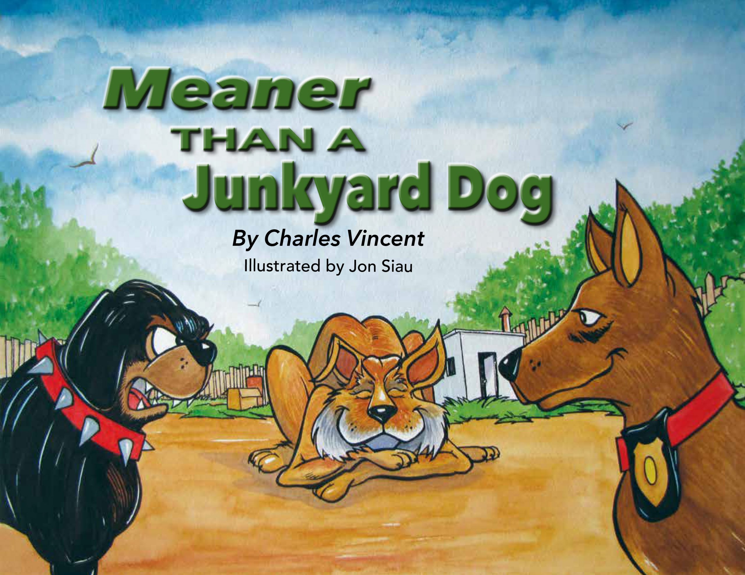 meaner-than-a-junkyard-dog-hardbound-m-t-publishing-company-inc